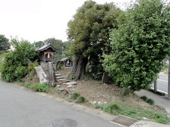 DSC00862