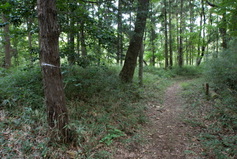 DSC04500
