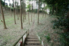 DSC01444