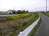 春2