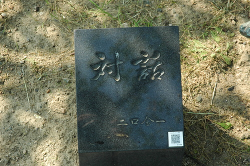 �ٻ��ԡ���������졡