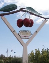Cherry Capital �Υ�˥����