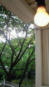 7e3c4489.jpg