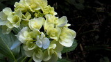 89e88374.jpg
