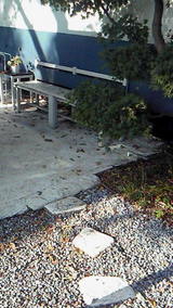 dad05578.jpg