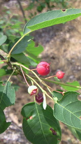 f41049e9.jpg