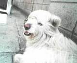 20050410130011.jpg