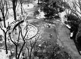 snow