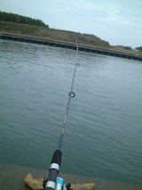 釣り