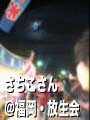 さちこさんの月