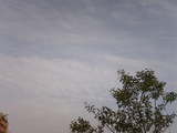 20050619173718.jpg