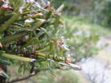 20050322095653.jpg