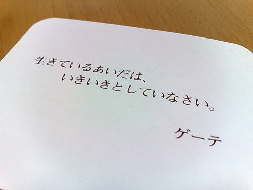 20081109054