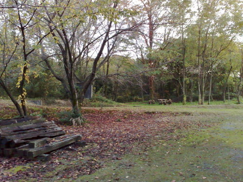 20081113093