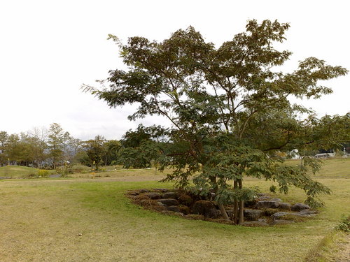 20081025004