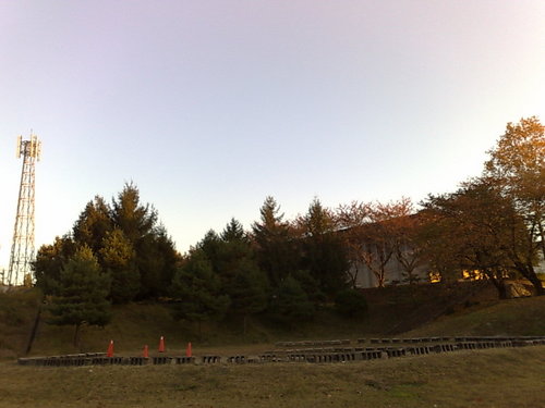 20081113085