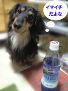 blog080617-3
