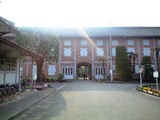 TMS1