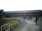 TMS4