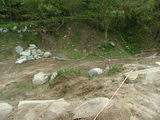 DSCF0801