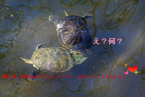 BlogPaint