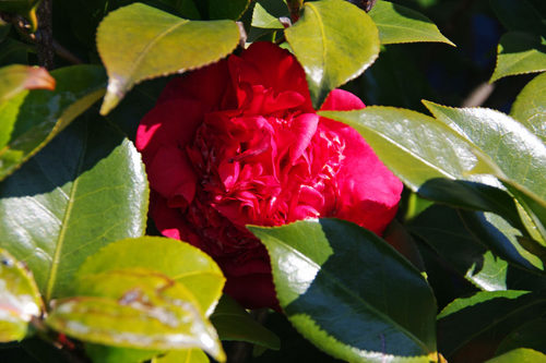 ����201002-7