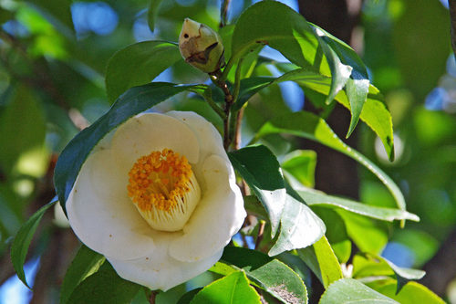����201002-3