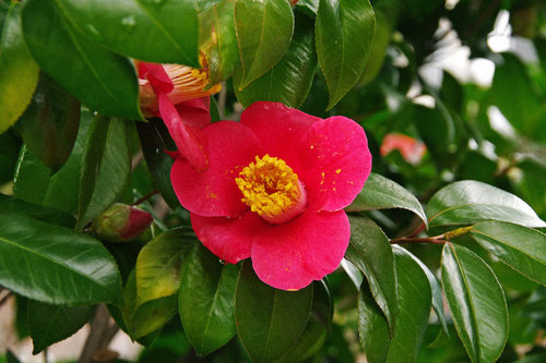 ����201002-8