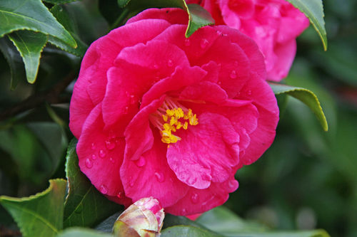 ����201002-9
