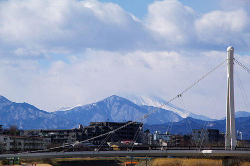 高幡不動尊20100206-1