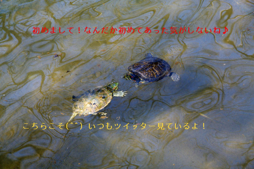 BlogPaint