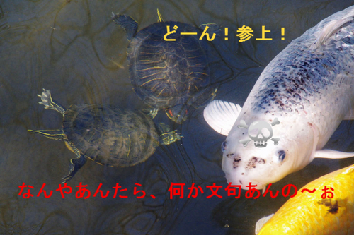 BlogPaint