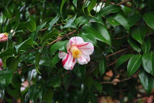 ����201002-12