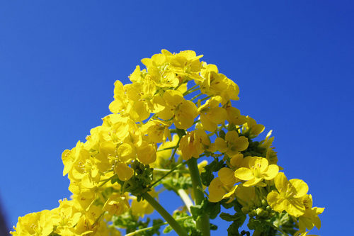 �ڤβ�2010-6