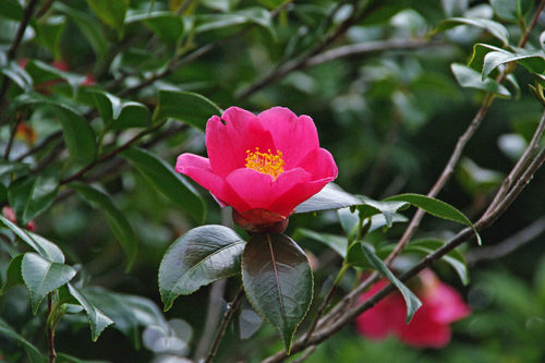 ����201002-11