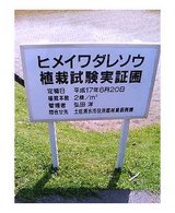 �ҥᥤ����쥽������