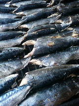 觤Ǥ����������ĥ�