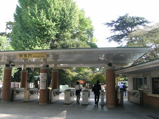 RIMG0896
