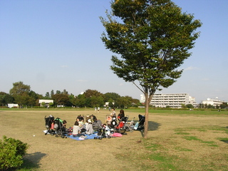 RIMG0623