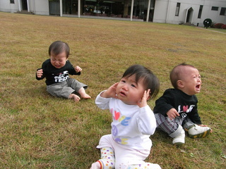 RIMG0772