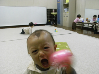 RIMG1386
