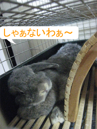 ���롪_4
