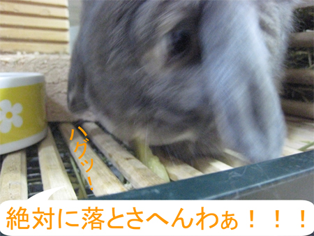 �Ѥ�����_8