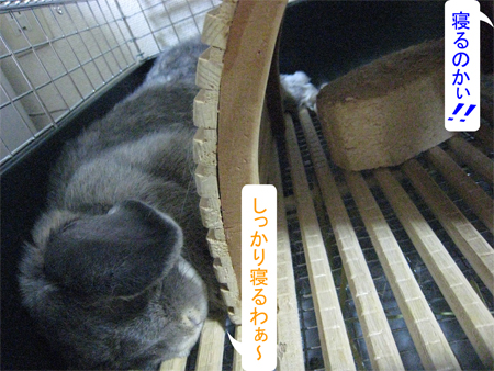 ���롪_5