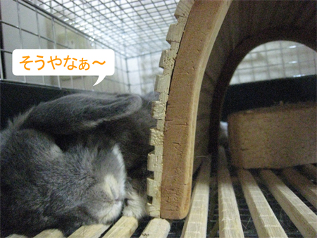 ���롪_3