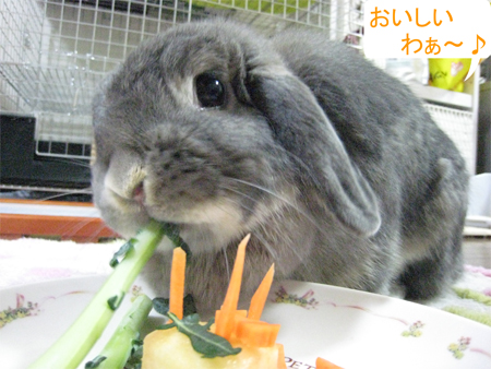 ThirdBirthDay_8