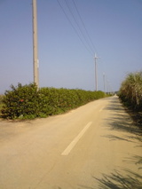 855779ea.jpg