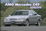AMGC43