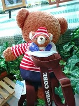 �ɡ��⡢�����ӡ��Ǥ�����