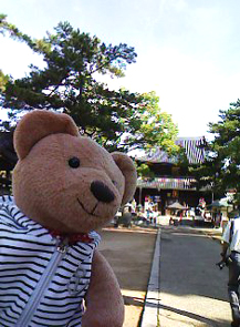 四国の旅6 善通寺にてこころ